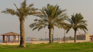 Ричард Брансън инвестира в туризма в Саудитска Арабия