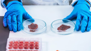 Един от големите въпроси пред които е изправено човечеството в