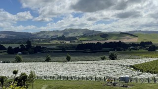 Българската компания Мидалидаре ще произвежда вино в Нова Зеландия преди