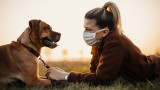 Коронавирусът, разхождането на кучета и повишава ли риска от заразяване с COVID-19