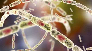 Първи случай на холера е регистриран в България от 103