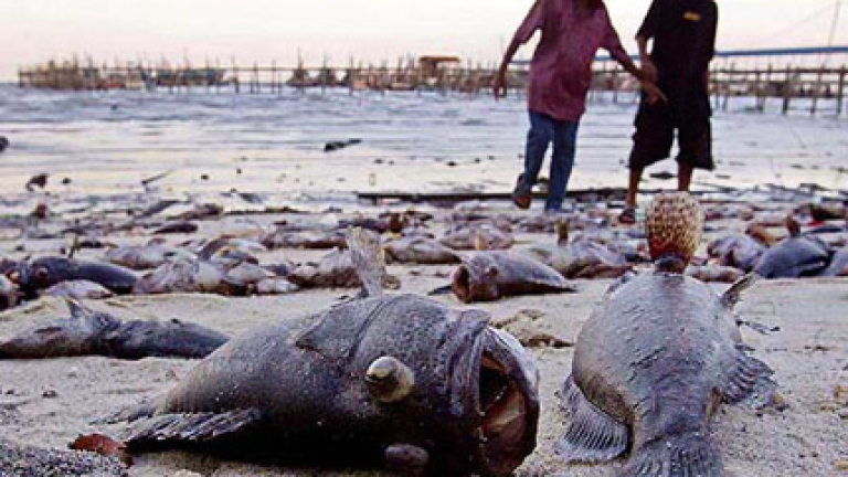 Изображение 5835