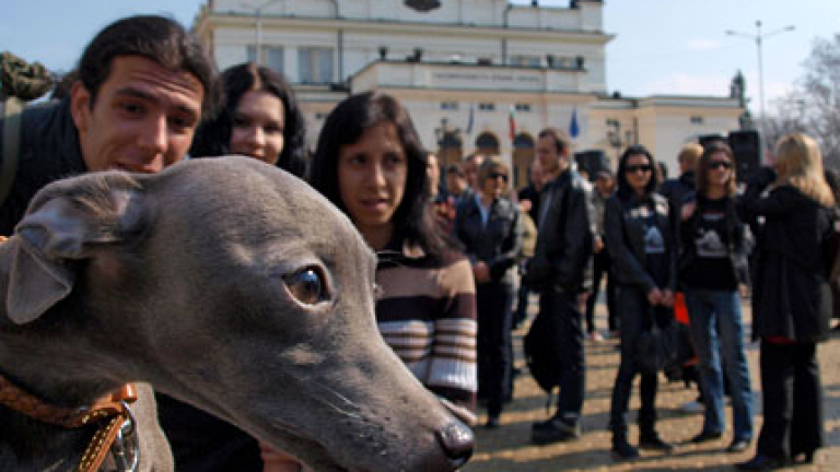 Изображение 95935