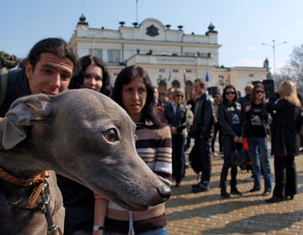 Изображение 95935