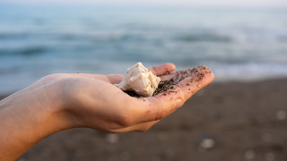 Стоим боси на брега Слънцето се скрива зад хоризонта а