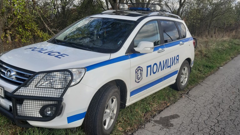 Изображение 446735