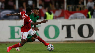 Обявиха по колко фенове ще гледат домакинските мачове на ЦСКА и Лудогорец в Лига Европа