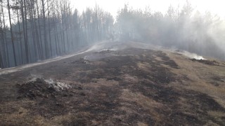 Локализиран е пожарът край с Кузьово в Родопите предадоха БГНЕС