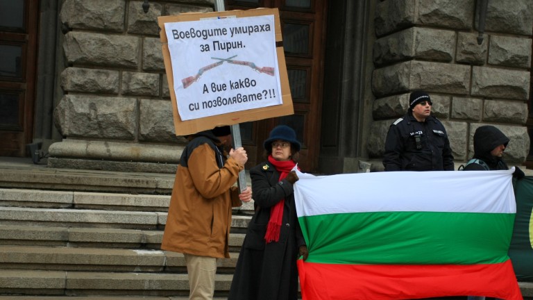 Изображение 397335