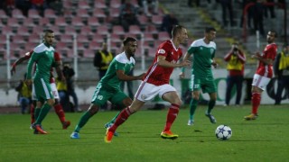 Пирин може да получи субсидия в размер на 300 000