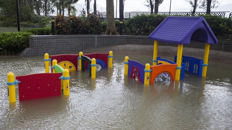 Изображение 309135