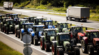 Нидерландски фермери несъгласни с плановете на правителството за намаляване на