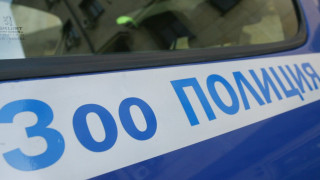 Полицаите в Перник откриха 14 мъртви кучета в частен