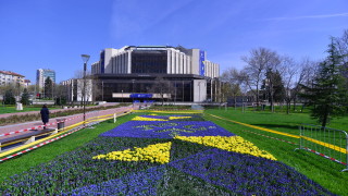 Холандските лалета в градинката пред официалния вход на НДК разцъфтяха