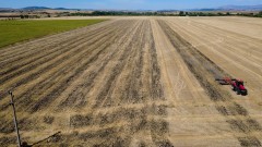 Износът в българското земеделие се свива, вносът расте. Има ли светлина в тунела? 