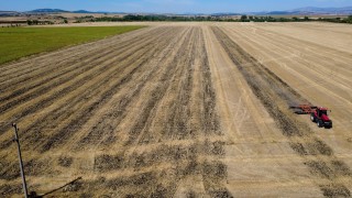 Износът в българското земеделие се свива и това е проблем