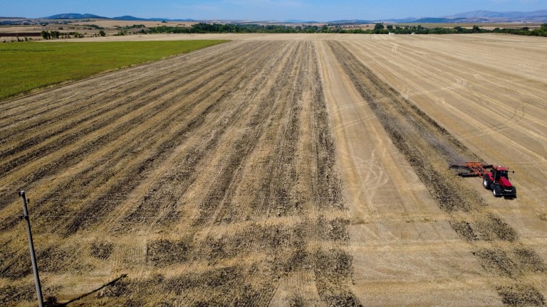 Износът в българското земеделие се свива и това е проблем,