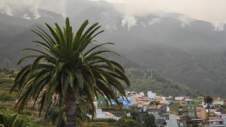 Горският пожар на испанския остров Тенерифе остана извън контрол в