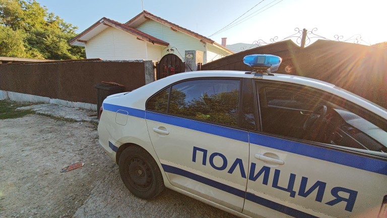 Изображение 730836