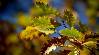 Днес ще има променлива облачност но над много райони тя