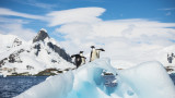 Новото откритие на Антарктида, което касае цялото човечество