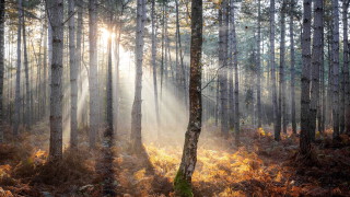 Днес над по голямата част от страната ще е предимно слънчево