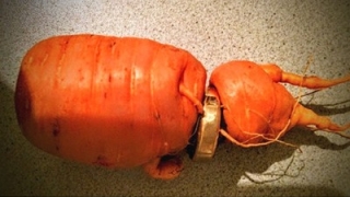 Мъж откри халката си в морков (СНИМКИ)