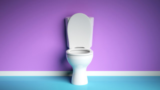 Войната за седалката на тоалетната чиния между мъжете които все