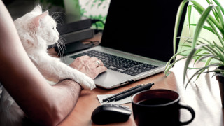 Без паника: Какво да направите, ако разлеете вода върху лаптопа