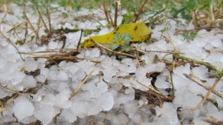 Градушка с размери на лешник падна в района на Ардино