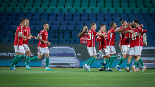 Президентът на Унгарския футболен съюз MLSZ Шандор Чани съжалява че