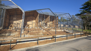 Маймунче се роди в Старозагорския зоопарк съобщиха от общината То е