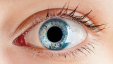 Защо всъщност има сини очи - каква е генетичната им история