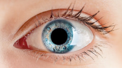 Защо всъщност има сини очи - каква е генетичната им история
