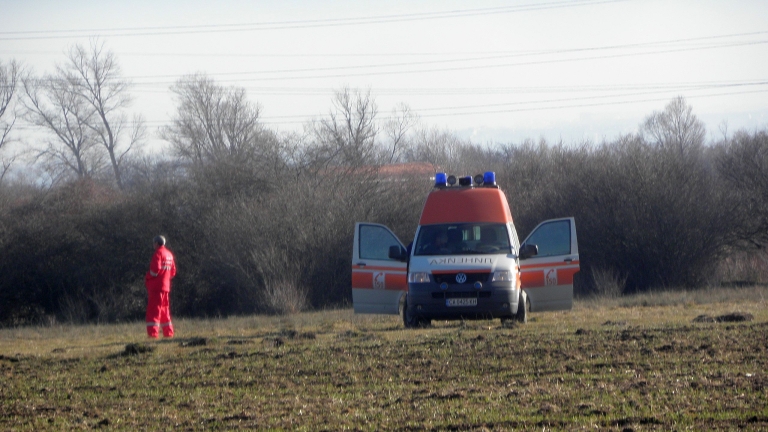 Бик потроши възрастна жена в самоковско село