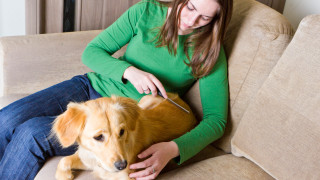 Без повече косми по дрехите от домашния любимец