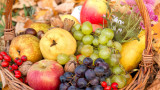 Коронавирусът, дюлята, райската ябълка, дренките и кои други сезонни плодове ни помагат в борбата с опасния вирус