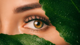 Трите витамина и основните хранителните вещества пряко отговорни за здравето на очите 