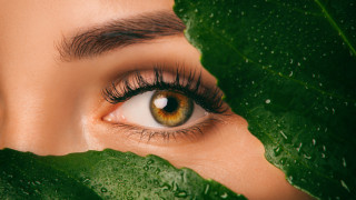 Трите най-важни витамина за здравето на очите