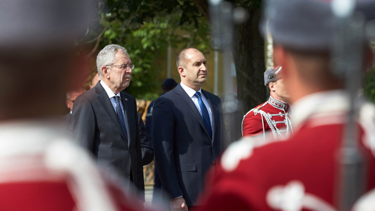 Изображение 354236