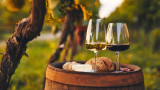 Коя е най-старата действаща винарна в света