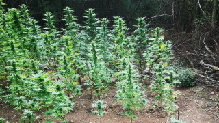 Италия е на път да забрани част от своята индустрия