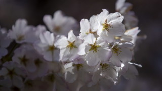 Днес от запад на изток ще премине атмосферен фронт Преди