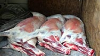 4 т. контрабандно месо от България хванаха в Анталия