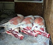 4 т. контрабандно месо от България хванаха в Анталия