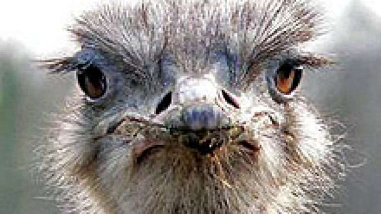 Изображение 5836