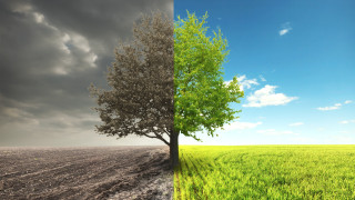 Още един неочакван виновник за климатичните промени