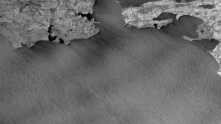 Русия сформира спешна работна група тъй като нефтеният разлив в