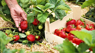 Въпреки че последните дни ни доставят по скоро есенно настроение отколкото