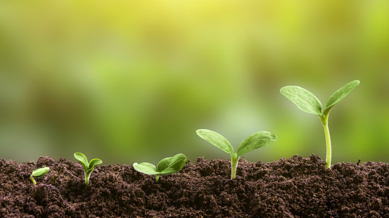 Изображение 758336